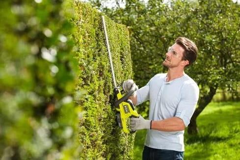 Ryobi RHT184520 Nożyce do żywopłotu 45cm 18V 2,0Ah_1.jpg