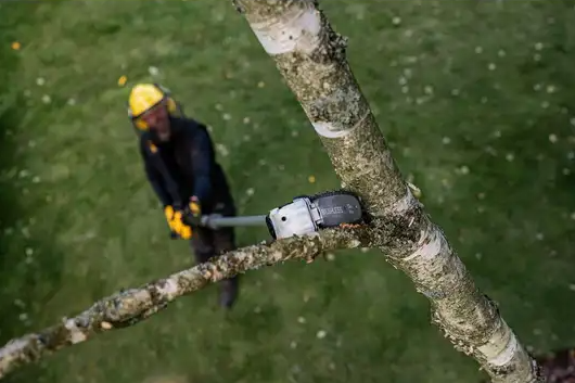 Dewalt   DCMPS635N Piła teleskopowa na wysięgniku 3,5m 54V XR